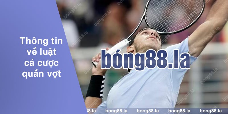 Tenis bong88 có gì