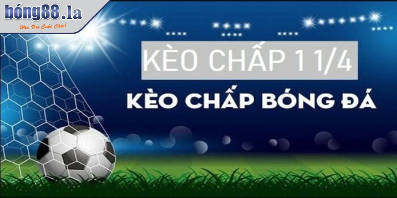 Kèo chấp 1 1/4 là gì? Tìm Hiểu Cách Đọc Và Chiến Thuật Cược 1 Giải mã kèo chấp 1 1/4