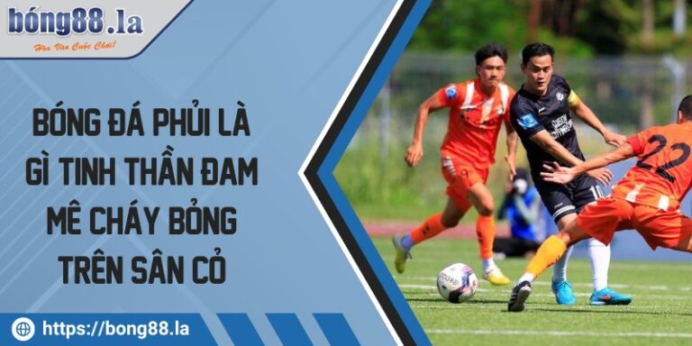 bong da phui la gi