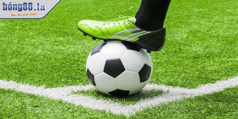 Dutching trong cá cược là chiến lược giúp phân bổ nguồn vốn vào nhiều lựa chọn