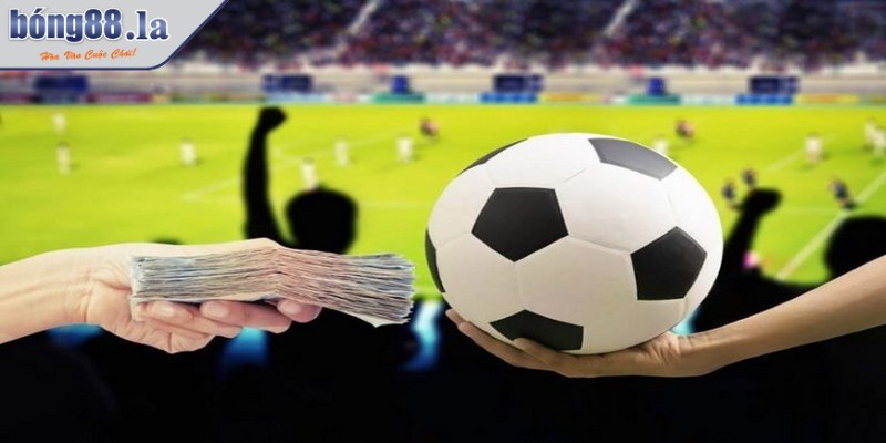 Áp dụng chiến lược Dutching trong cá cược phù hợp nhằm tối cơ hội thắng