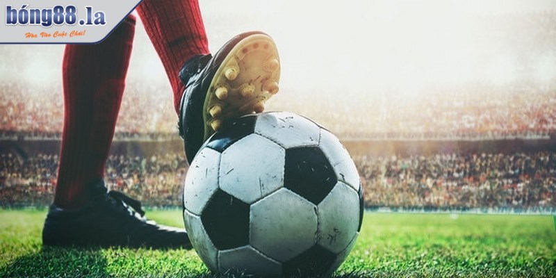 Kèo phát bóng - Hình thức cá độ thể thao độc đáo nhất 3 Phải tìm hiểu rõ mọi thông tin trước khi xuống tiền đặt kèo