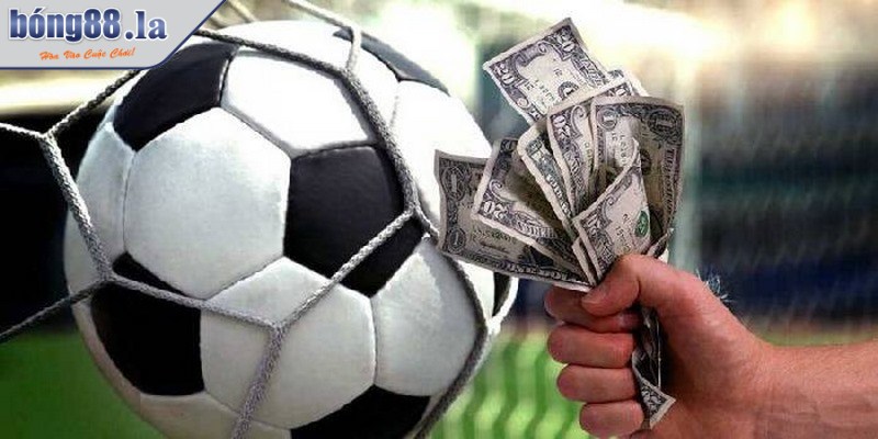 Tham khảo nhận định từ chuyên gia, phân tích sâu sắc về từng trận đấu