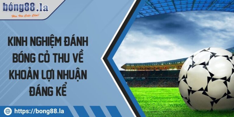 kinh nghiem danh bong co