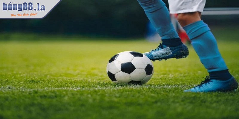 Kinh nghiệm đánh bóng cỏ cập nhật thông tin liên tục giúp giảm thiểu rủi ro