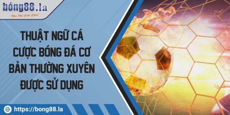 thuat ngu ca cuoc bong da