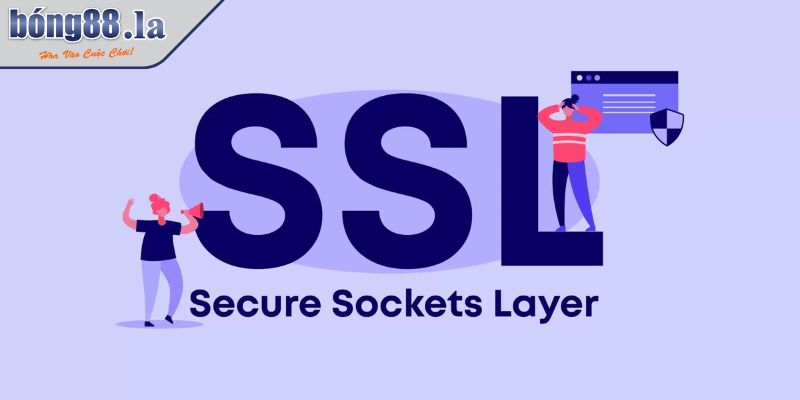 Lý do cần kiểm tra chứng chỉ SSL Sunwin
